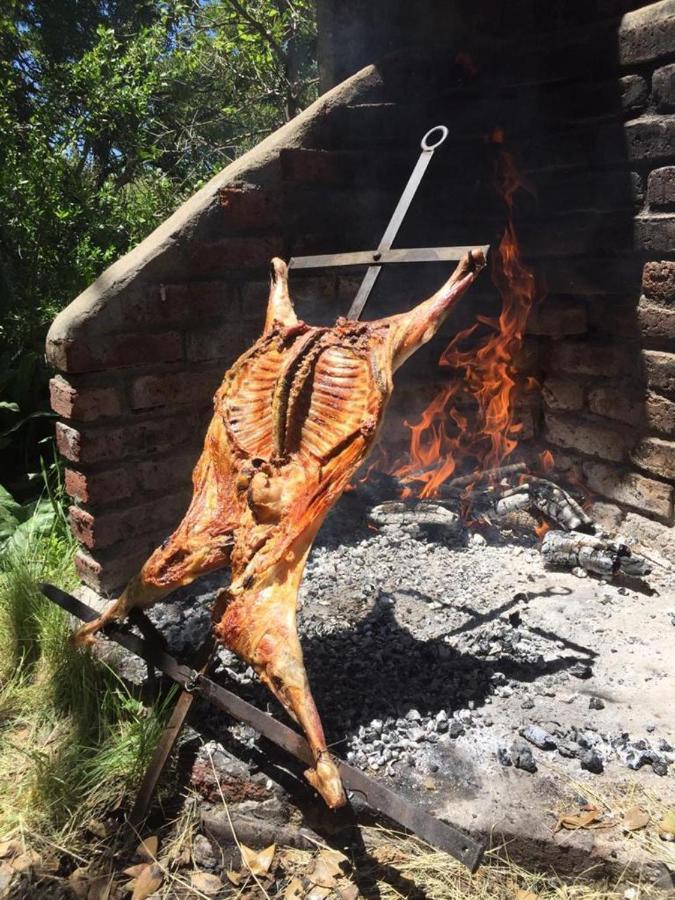 Estancia Quillen Lodge - Hosteria Aluminé Dış mekan fotoğraf